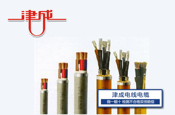 津成特種電纜